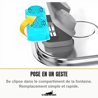 Filtres à charbon actif pour fontaine 3,2 L (compatible La Source Cristalline et Impériale) | Le Cœur Cristallin - Le Palais des Chats