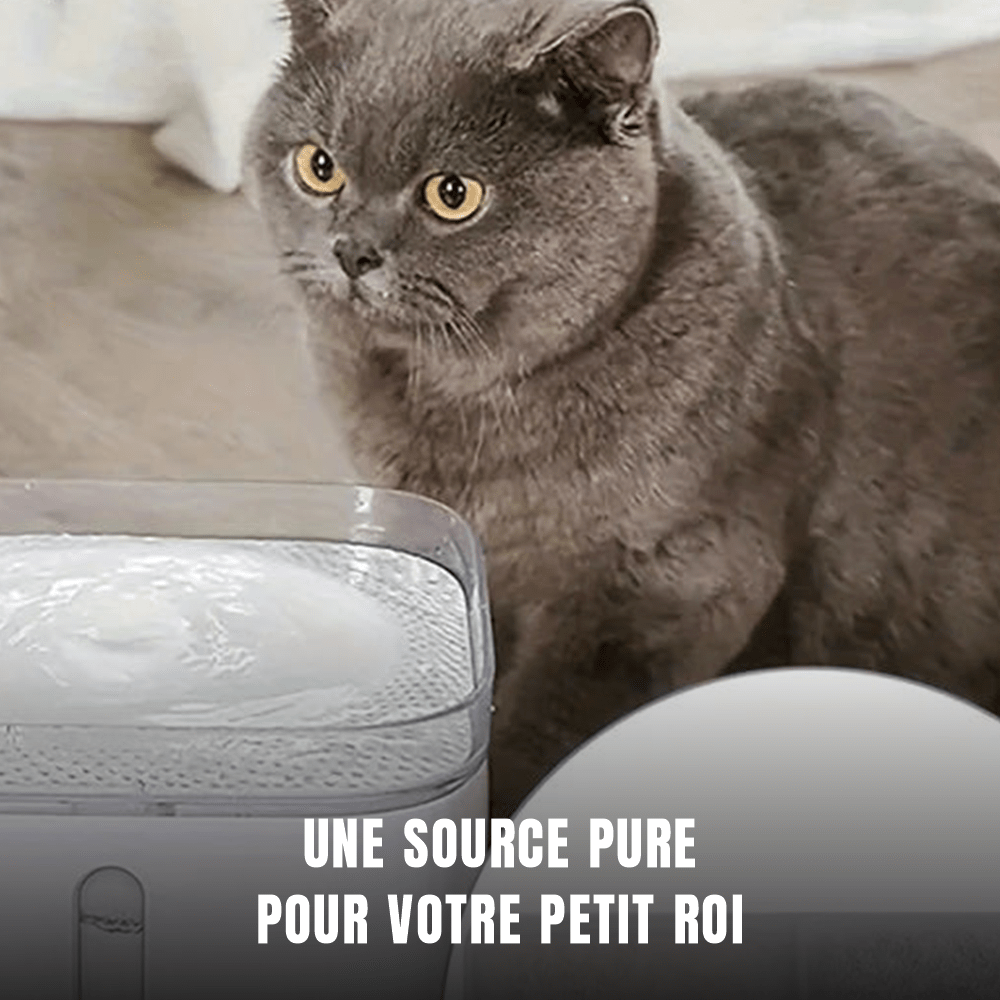Filtres charbon actif 113 mm pour fontaine ronde à chat | Les Gardiens de la Source - Le Palais des Chats