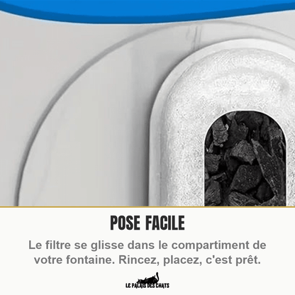 Filtres universels charbon actif 74 mm pour fontaine à chat | Source Pure Universelle - Le Palais des Chats