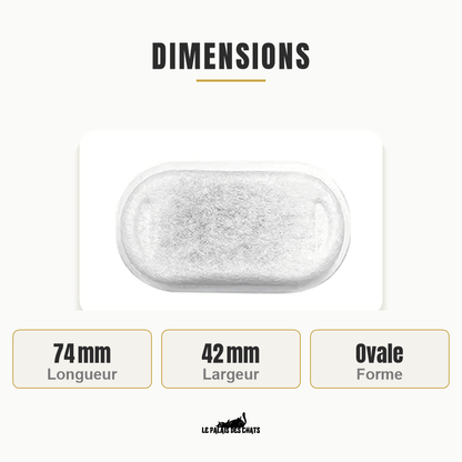 Dimensions du filtre : 74 mm de longueur, 42 mm de largeur, forme ovale