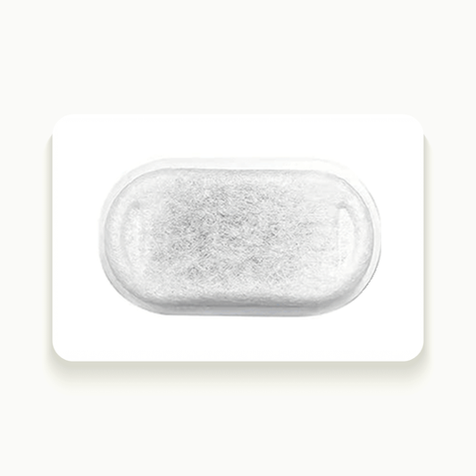 Filtre ovale en charbon actif vu de dessus, posé sur fond crème
