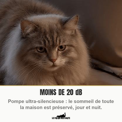 Fontaine à chat à pompe ultra-silencieuse, moins de 20 dB pour un sommeil préservé