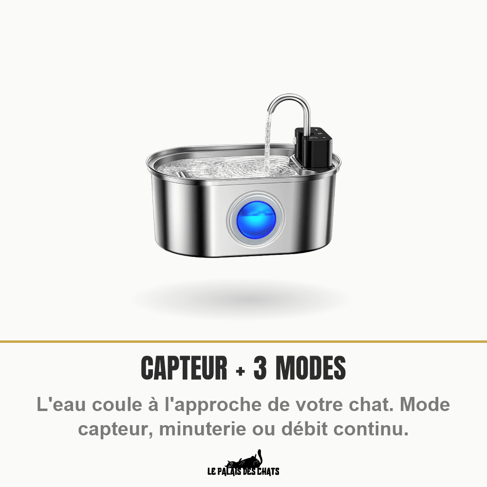 Fontaine à chat La Source Cristalline avec capteur de mouvement et 3 modes de débit