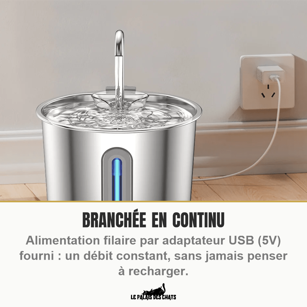 Fontaine à eau chat inox à alimentation filaire USB continue, La Source Sereine