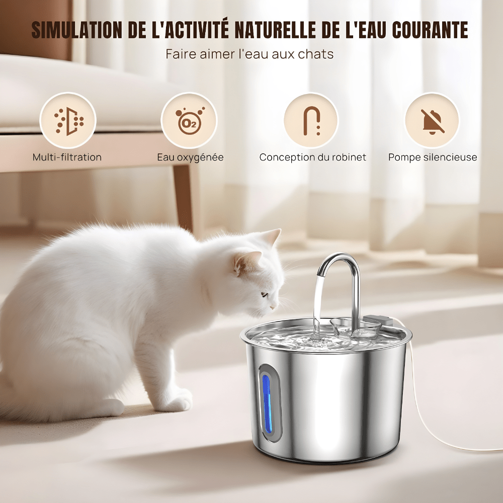 Fontaine à eau pour chat compacte 2,2 L en inox, filtration multi-couches et fenêtre de niveau d'eau | La Source Sereine - Le Palais des Chats