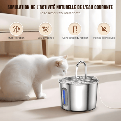 Fontaine à eau pour chat compacte 2,2 L en inox, filtration multi-couches et fenêtre de niveau d'eau | La Source Sereine - Le Palais des Chats