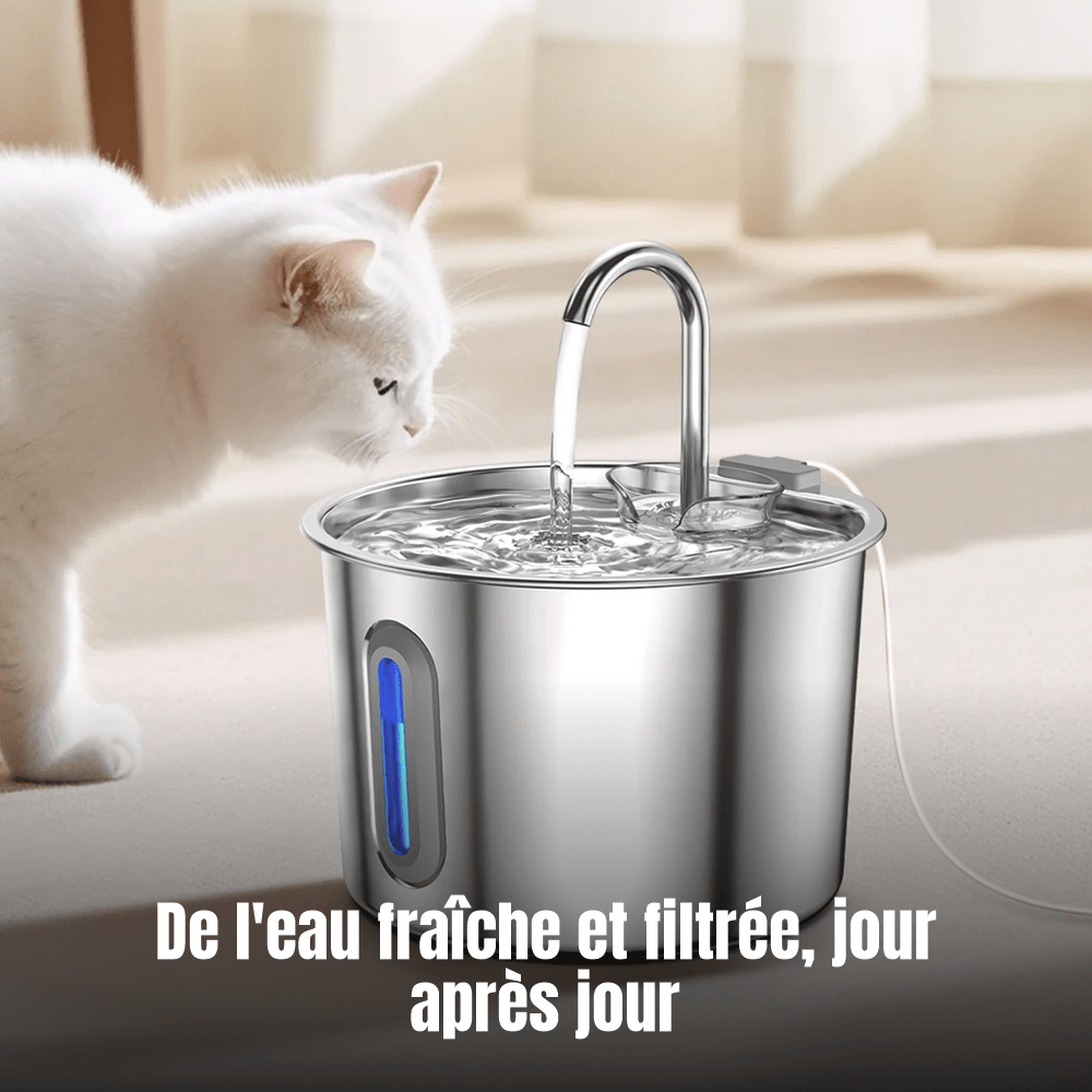 Fontaine à eau pour chat compacte 2,2 L en inox, filtration multi-couches et fenêtre de niveau d'eau | La Source Sereine - Le Palais des Chats