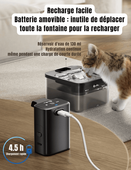 Fontaine à eau pour chat en inox | La Source Royale - Le Palais des Chats