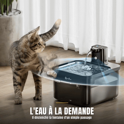 Fontaine à eau pour chat en inox | La Source Royale - Le Palais des Chats