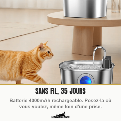 Fontaine à eau sans fil pour chat, batterie 4000mAh rechargeable jusqu'à 35 jours