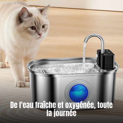 Chat buvant à la fontaine à eau fraîche en inox La Source Cristalline