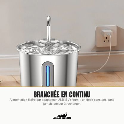 Fontaine à eau pour chat filaire, branchée en continu par adaptateur USB