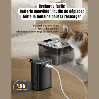 Fontaine à eau pour chat en inox | La Source Royale - Le Palais des Chats
