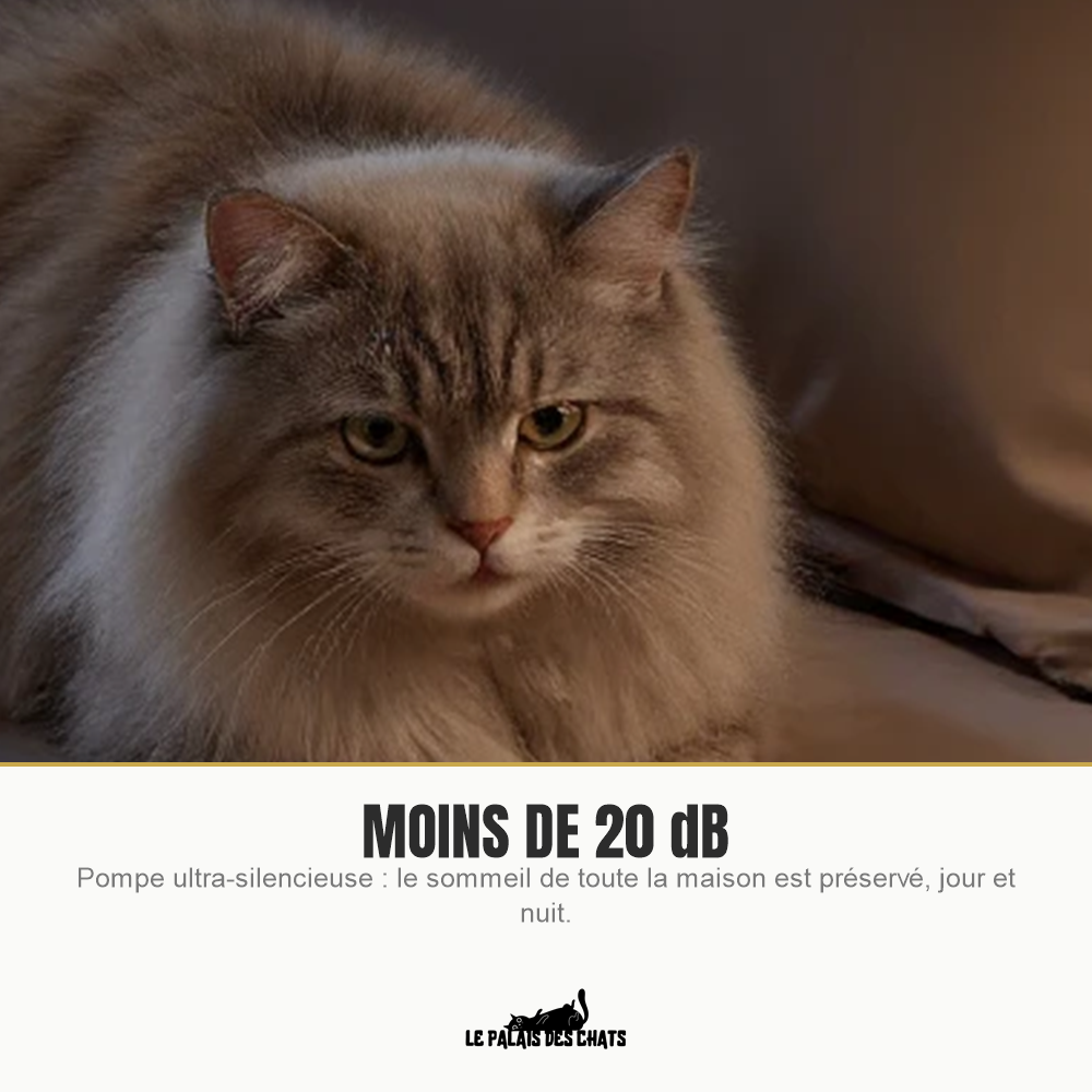 Fontaine à eau pour chat ultra-silencieuse, moins de 20 dB