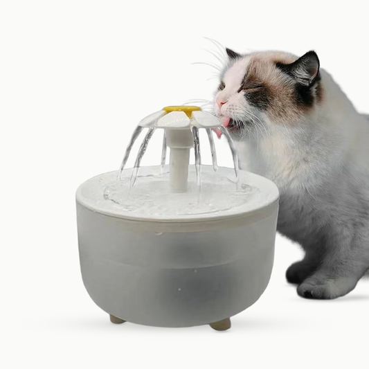 Chat qui boit à la fontaine à eau pour chat 1,2 L La Source Fleurie, bec marguerite blanche à cœur jaune