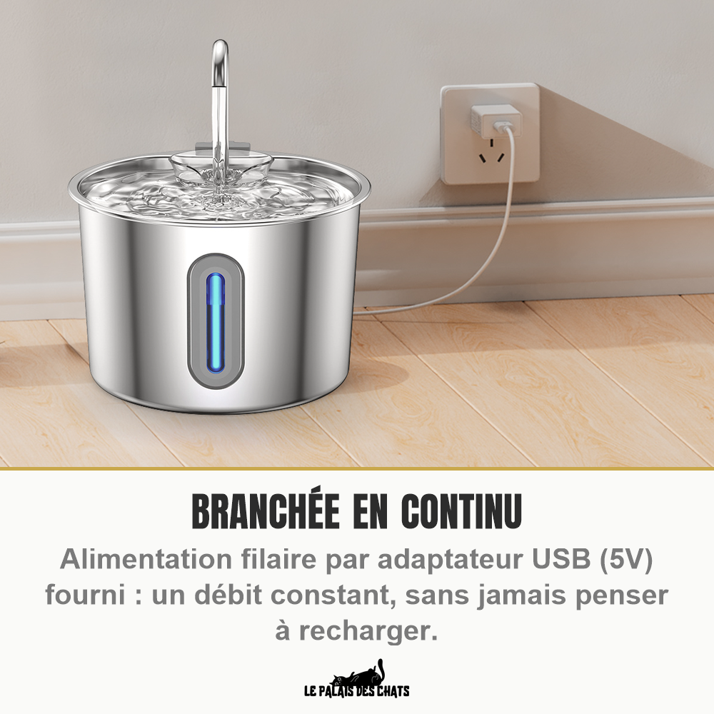 Fontaine inox posée au sol, cordon relié à une prise murale et fenêtre de niveau d'eau bleutée allumée