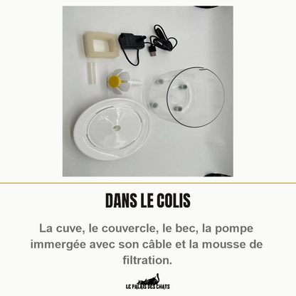 Contenu du colis de la fontaine à eau pour chat : cuve, couvercle, bec, pompe et mousse de filtration