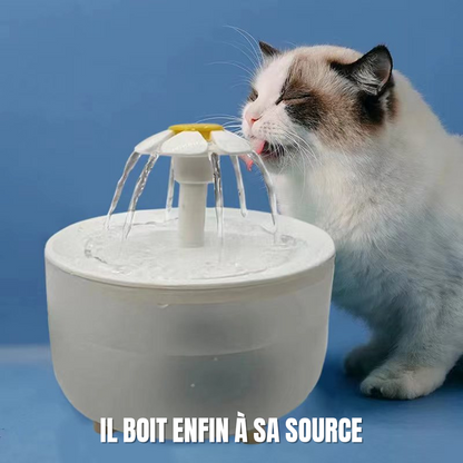 Chat qui boit à la fontaine 1,2 L au bec marguerite blanche