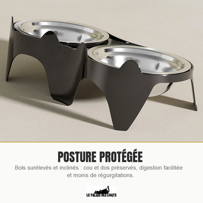 Gamelle chat surélevée et inclinée pour une bonne posture