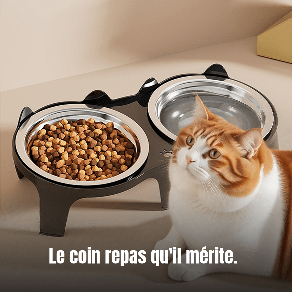 Gamelle double surélevée pour chat en inox | Le Duo Royal Félin - Le Palais des Chats