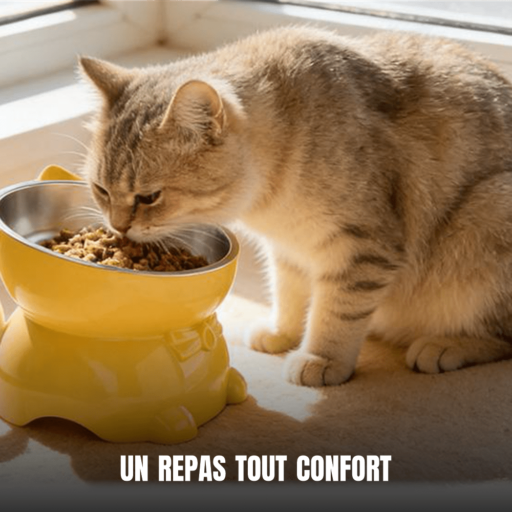 Gamelle surélevée et inclinée pour chat en inox, design chat | La Gamelle Perchée - Le Palais des Chats