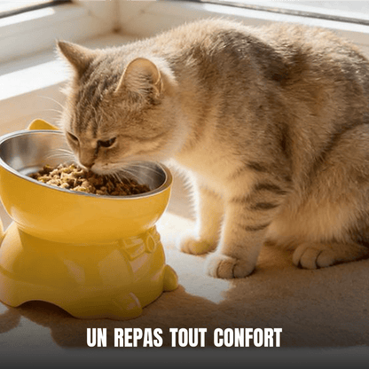 Gamelle surélevée et inclinée pour chat en inox, design chat | La Gamelle Perchée - Le Palais des Chats