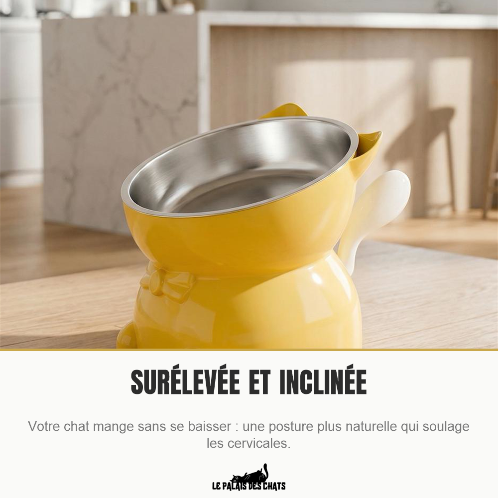 Chat mangeant dans la gamelle surélevée et inclinée
