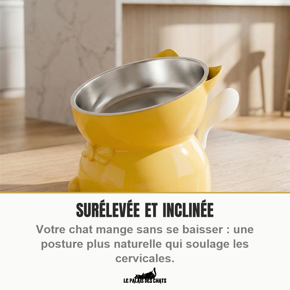 Gros plan de la gamelle jaune inclinée et de son bol en inox posée sur un plan de travail en bois, avec la mention surélevée et inclinée pour soulager les cervicales du chat