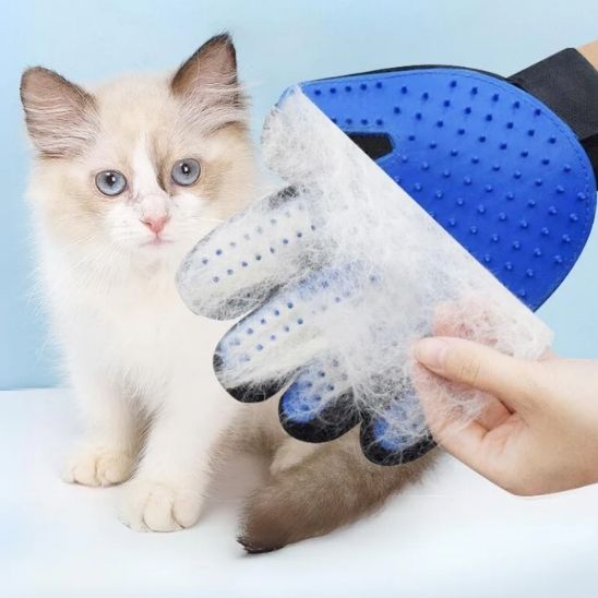 Gant de toilettage et de massage pour chat - CaresseMagique - Le Palais des Chats