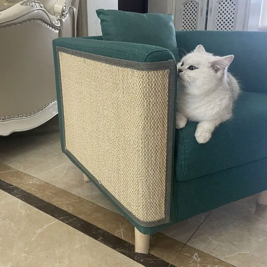 Griffoir protège-canapé en lamelles de bambou épinglé sur l'accoudoir d'un canapé vert, chat blanc couché sur l'assise