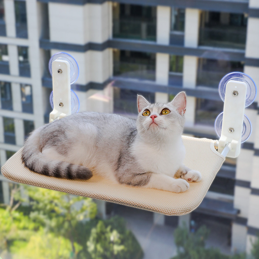 Chat tigré gris et blanc couché sur le hamac pour chat Le Nid Suspendu, fixé à une vitre par ses doubles ventouses
