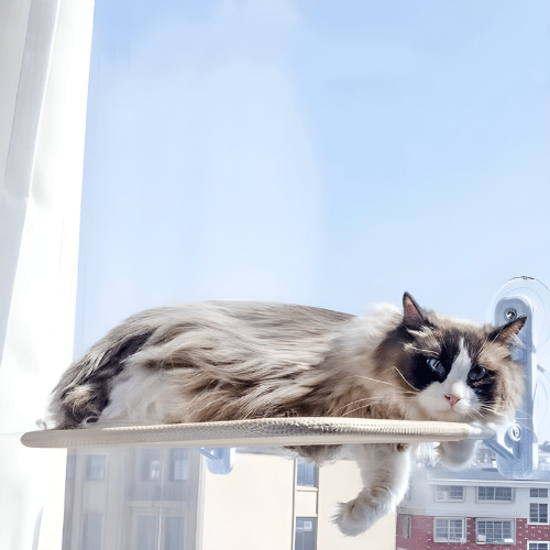 Hamac pour chat | Le Nid Suspendu - Le Palais des Chats