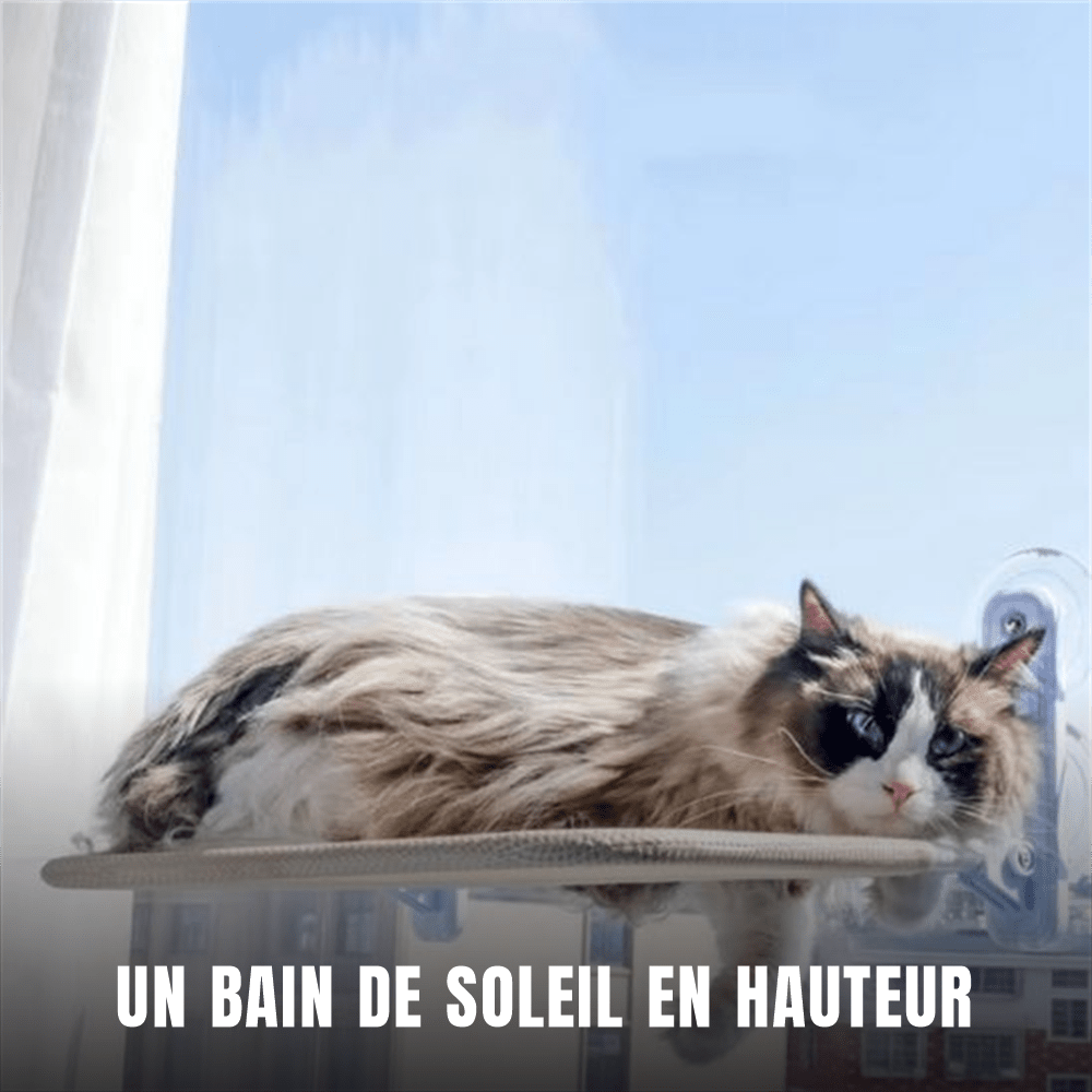 Hamac pour chat | Le Nid Suspendu - Le Palais des Chats
