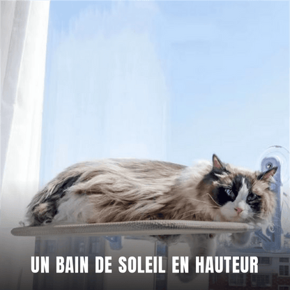 Hamac pour chat | Le Nid Suspendu - Le Palais des Chats
