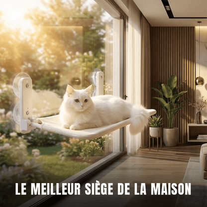 Hamac pour chat | Le Nid Suspendu - Le Palais des Chats
