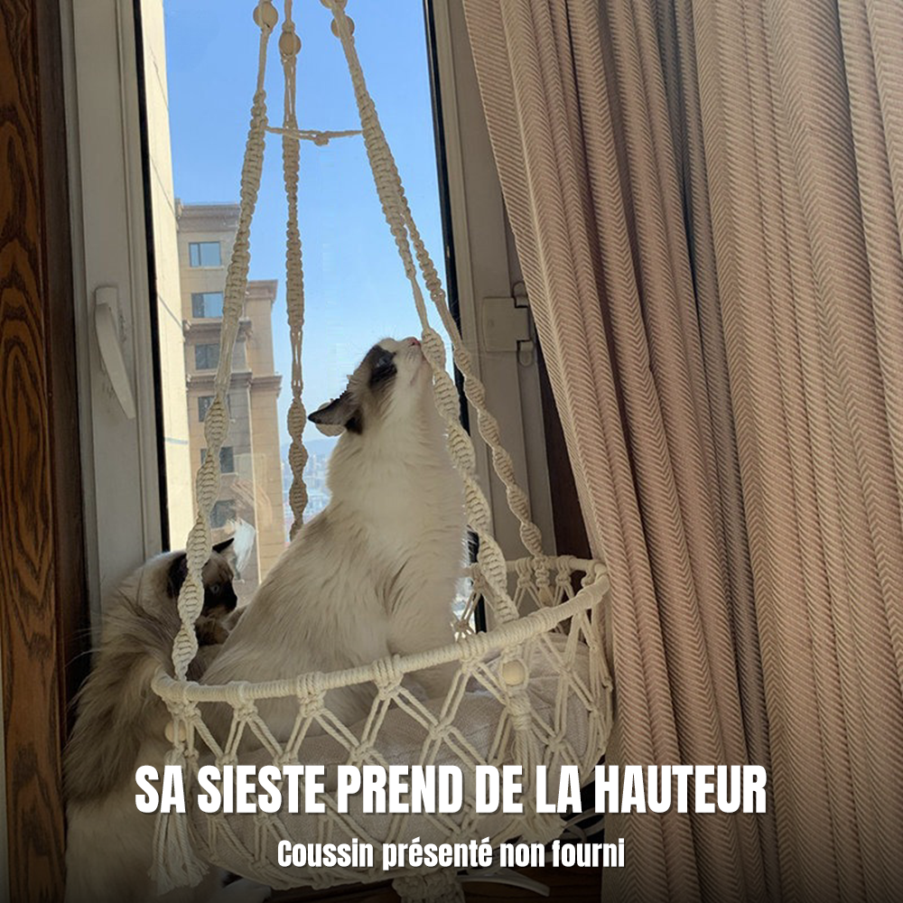 Chats installés dans le hamac suspendu en macramé La Balancelle Royale, devant une fenêtre