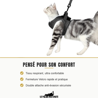 Chat tigré gris et blanc en promenade portant le harnais matelassé gris relié à sa laisse, avec les trois atouts : tissu respirant, fermeture Velcro rapide et double attache anti-évasion