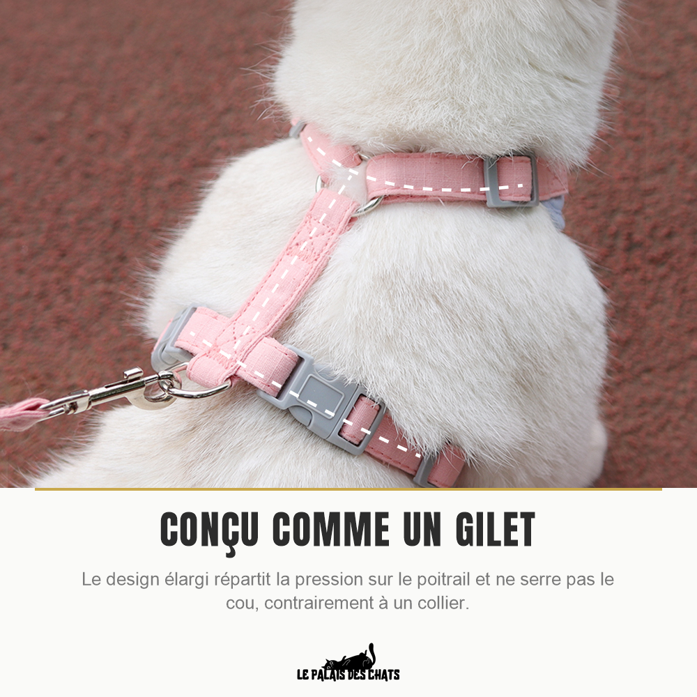 Harnais gilet pour chat qui ne serre pas le cou