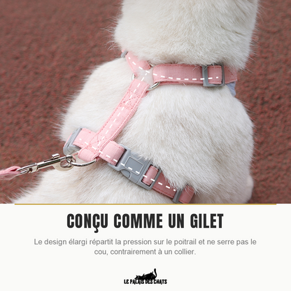Harnais gilet pour chat qui ne serre pas le cou