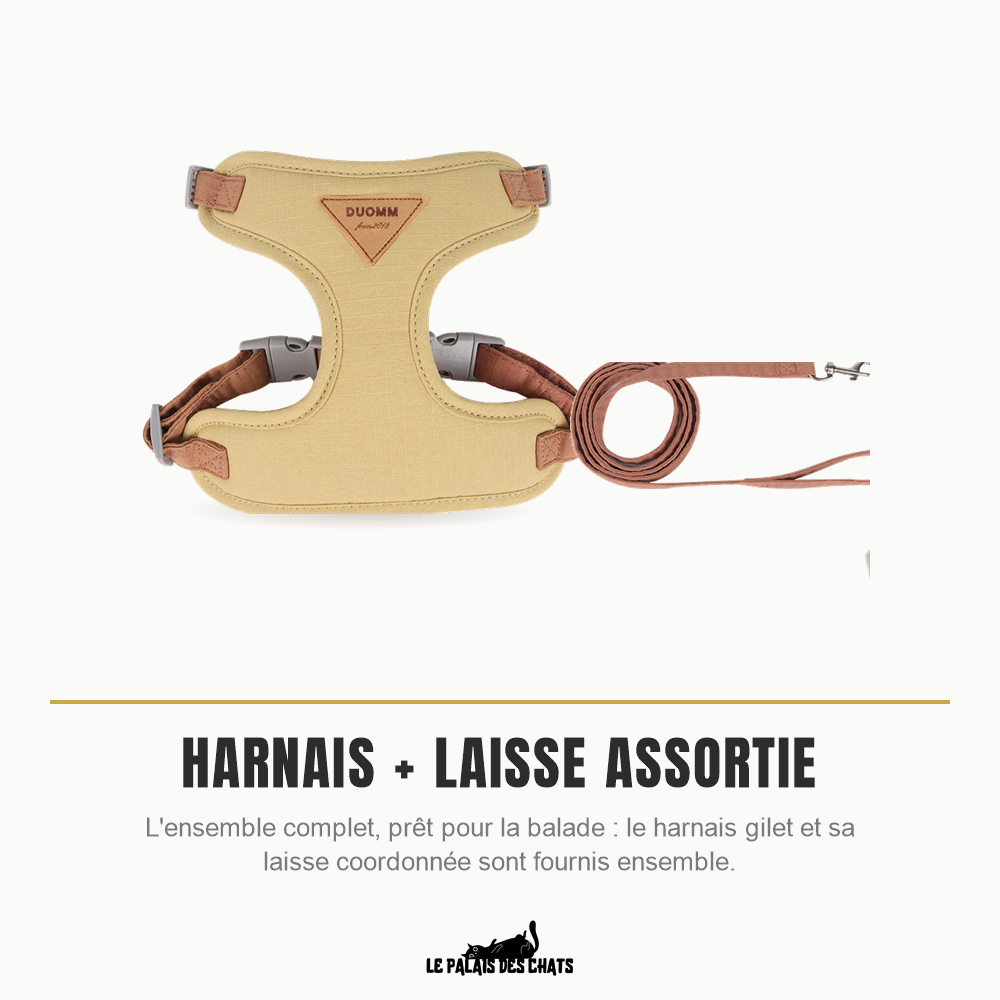 Harnais pour chat avec laisse assortie incluse, ensemble complet