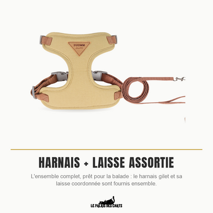 Harnais pour chat avec laisse assortie incluse, ensemble complet