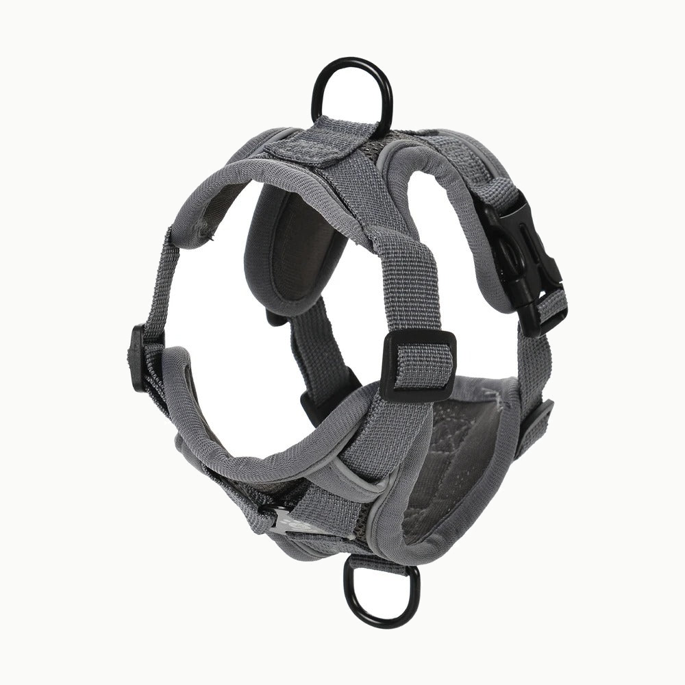 Harnais gris vu de trois quarts, boucle clip noire, anneaux de fixation de laisse et sangles rembourrées réglables