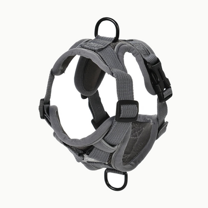 Harnais gris vu de trois quarts, boucle clip noire, anneaux de fixation de laisse et sangles rembourrées réglables