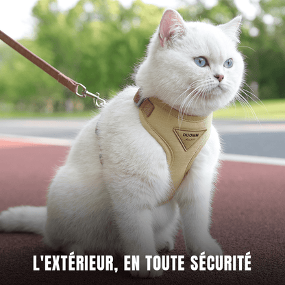 Harnais pour chat | Félin Majesté - Le Palais des Chats