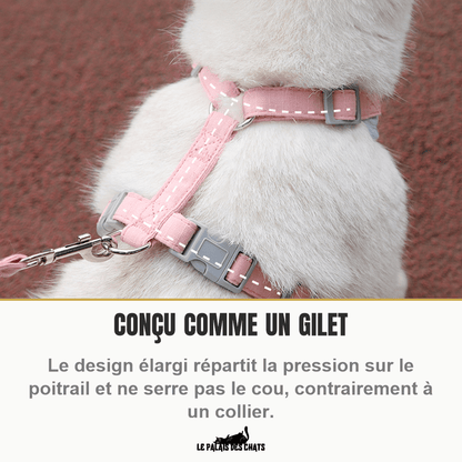 Harnais pour chat | Félin Majesté - Le Palais des Chats