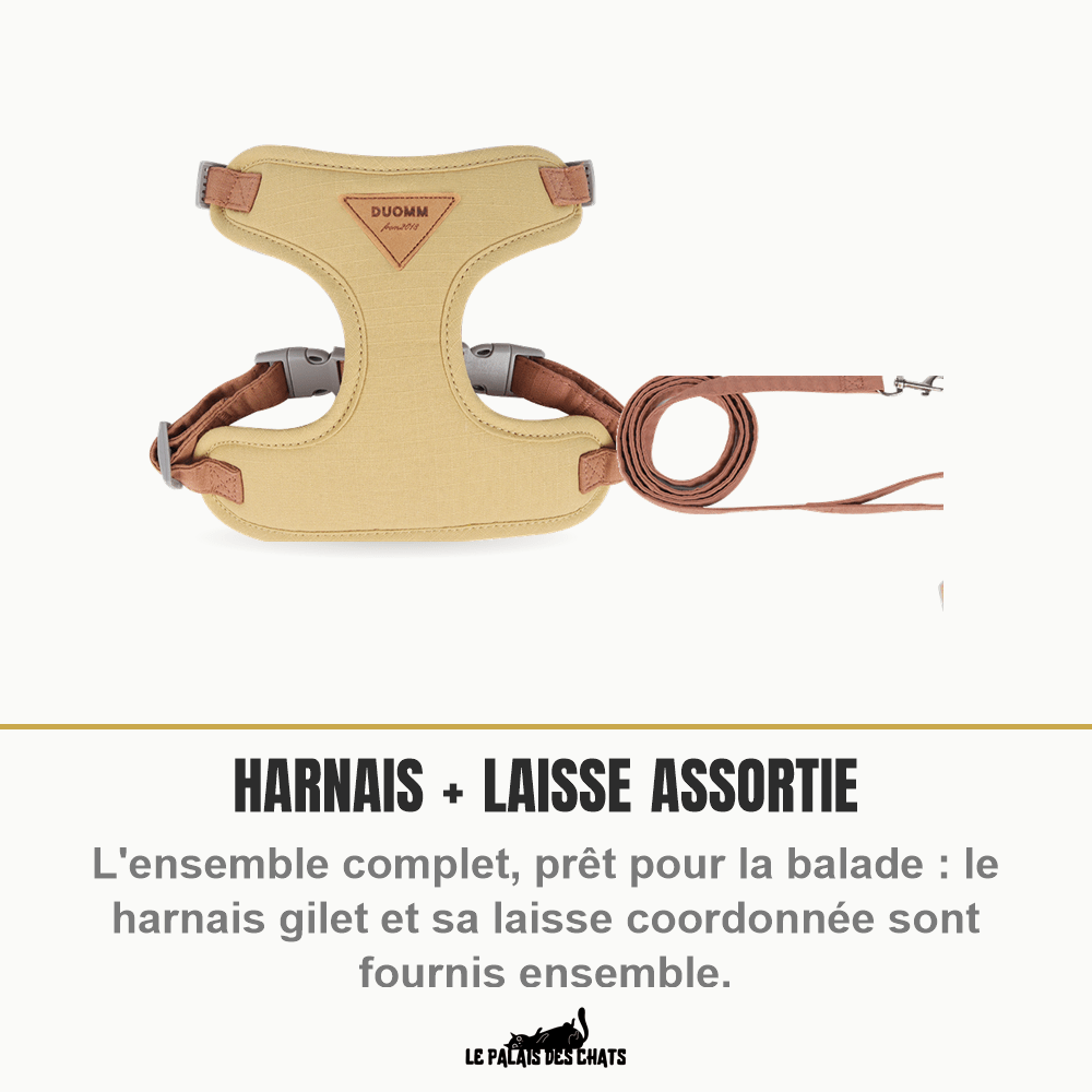 Harnais pour chat | Félin Majesté - Le Palais des Chats