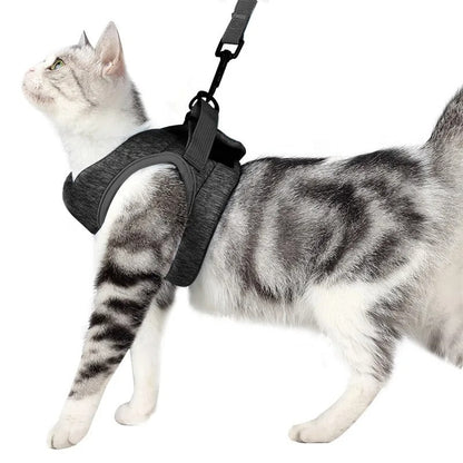 Harnais pour chat | Le Harnais du Palais - Le Palais des Chats