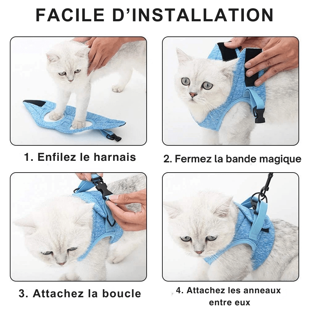 Harnais pour chat | Le Harnais du Palais - Le Palais des Chats