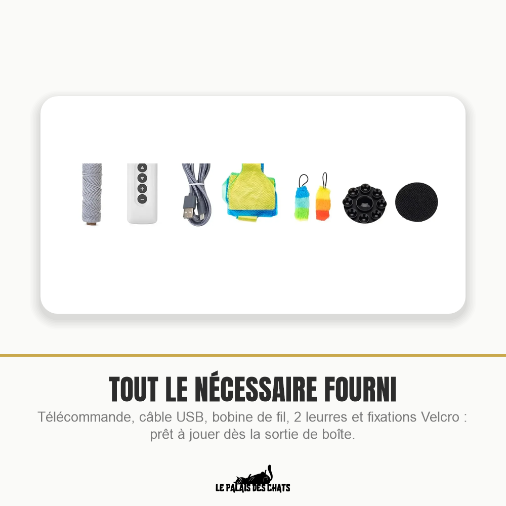 Jouet interactif électrique pour chat à leurre et télécommande | Attrape-Moi Si Tu Peux