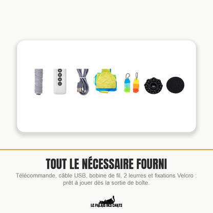 Jouet interactif électrique pour chat à leurre et télécommande | Attrape-Moi Si Tu Peux